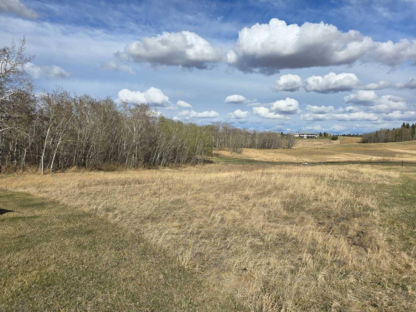 Rural Ponoka County, AB T4J 0B3,111 Wolf Run DR