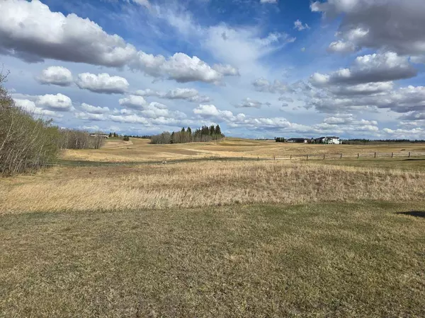 Rural Ponoka County, AB T4J 0B3,111 Wolf Run DR