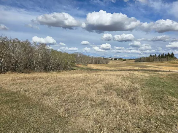 Rural Ponoka County, AB T4J 0B3,111 Wolf Run DR