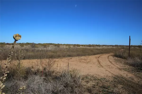 Bangs, TX 76823,TBD CR 171