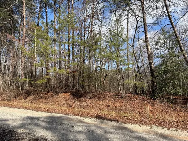 Lot 8 Hummingbird Lane, Ellijay, GA 30540