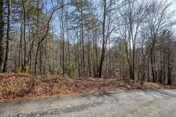 Talking Rock, GA 30175,Lot 1636 Long Branch Drive