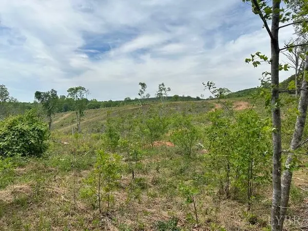 Lynch Station, VA 24571,0 Leesville RD #LOT 2