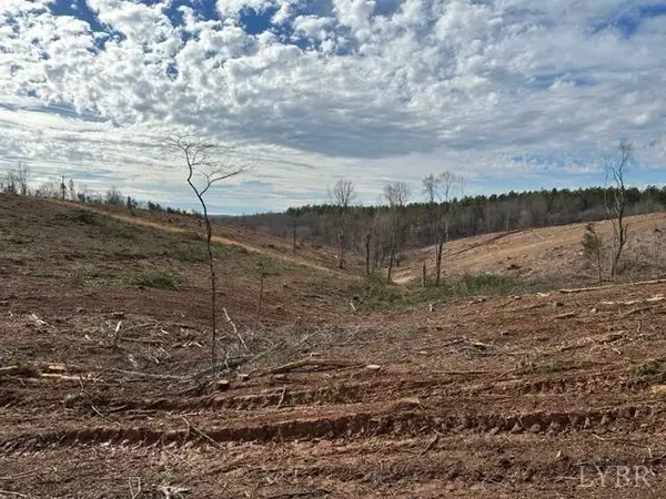 Lynch Station, VA 24571,0 Leesville RD #LOT 2