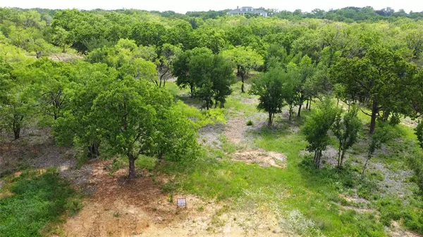 1041 Annabelles Avenue,  Weatherford,  TX 76087