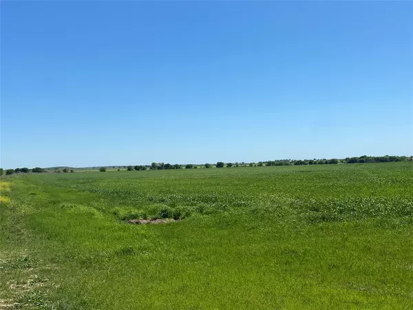 Rio Vista, TX 76093,704 County Road 1102