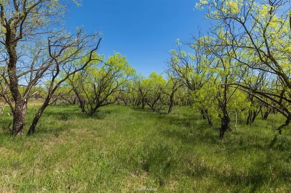 Sweetwater, TX 79556,TBD County Road 121