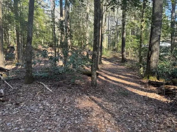 Lot 3 Happy Hollow Lane, Blairsville, GA 30514