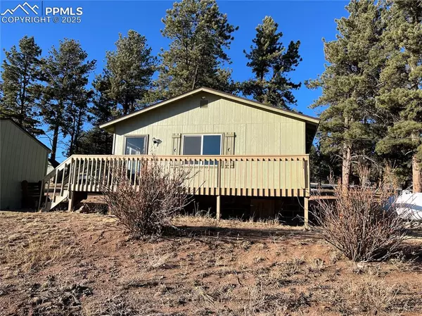 55 Thunder DR, Lake George, CO 80827