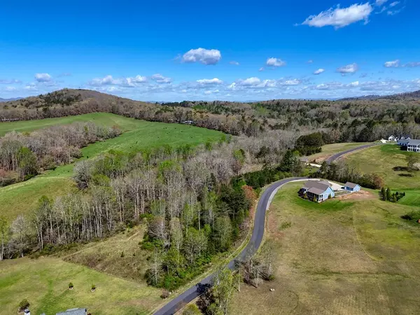 Blairsville, GA 30512,Lot 44 Owen Vista