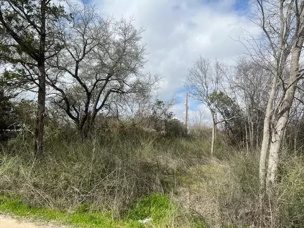 lot 145 Cherry Road, Whitney, TX 76692