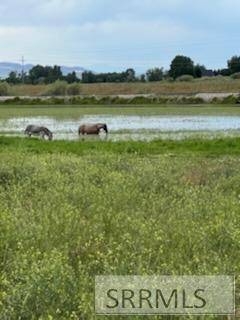 St Anthony, ID 83445,2821 E 700 N