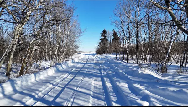 Rural Stettler No. 6 County Of, AB T0C 2L0,37437 Range Road 17-4