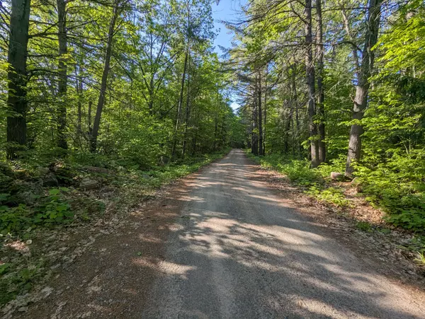 Madawaska Valley, ON K0J 1B0,Lot A Otter Lake LN