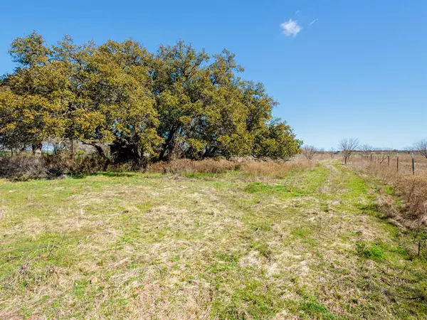 Bangs, TX 76823,TBD County Road 196