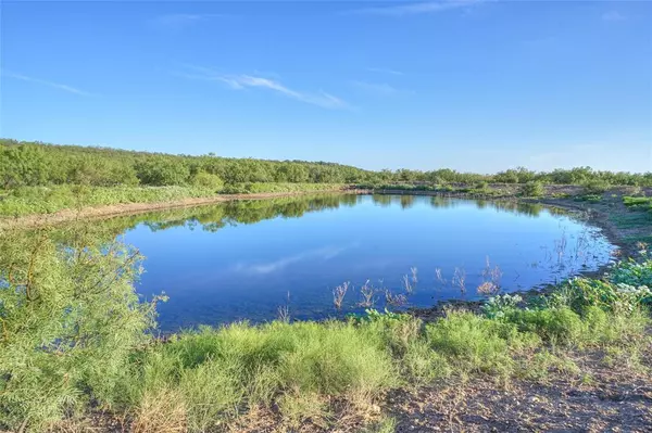 Coleman, TX 76834,TBD Farm to Market 1026