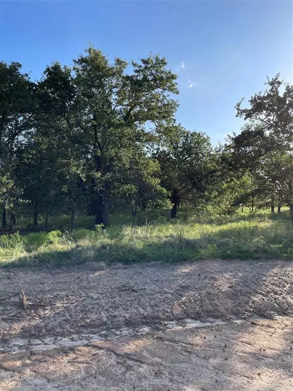 221 Jimmy Lane, Millsap, TX 76066