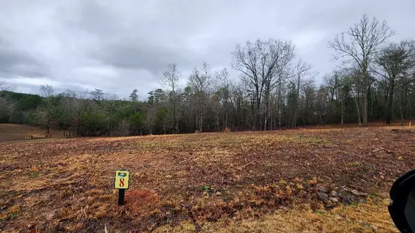 Mineral Bluff, GA 30559,Lot 8 Arbor Creek Trail