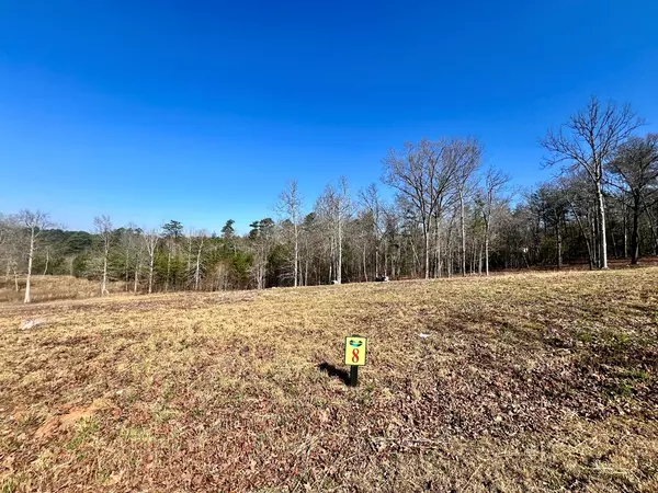 Mineral Bluff, GA 30559,Lot 8 Arbor Creek Trail