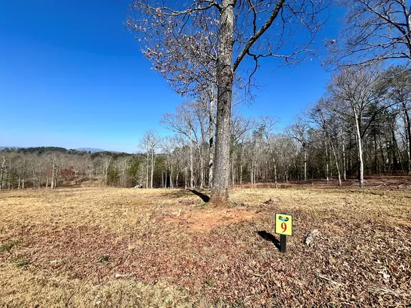 Mineral Bluff, GA 30559,Lot 9 Arbor Creek Trail