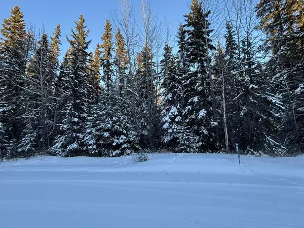 Rural Northern Lights County Of, AB T8S1S4,Lot 5 Bamping Estates