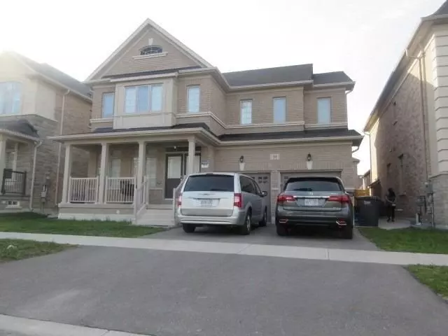 10 Hertonia ST #Bsmt, Brampton, ON L6P 4E6