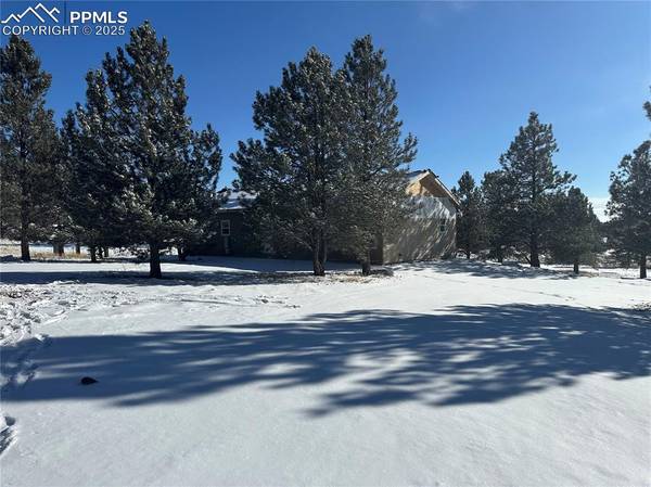 20 Apache CIR, Florissant, CO 80816