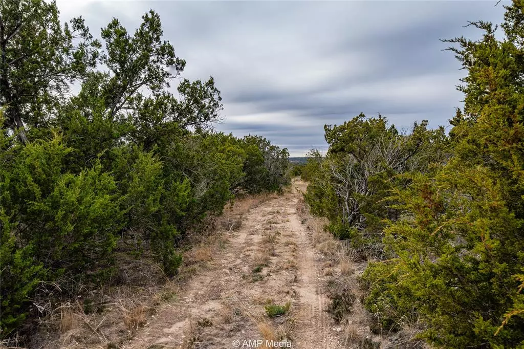 Ovalo, TX 79541,901 CR 656