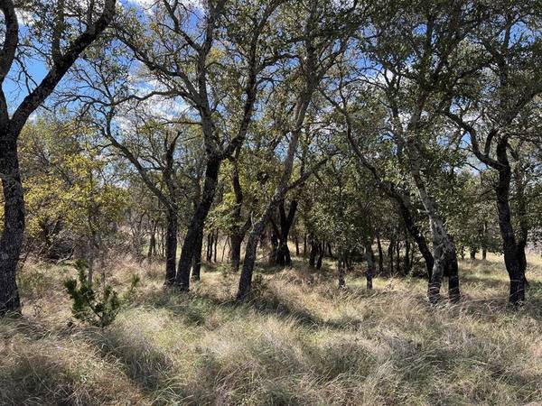 Brownwood, TX 76801,TBD - Lot 31 County Road 600