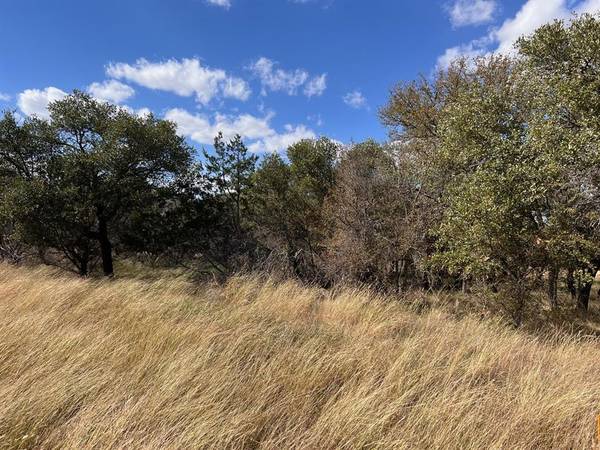 Brownwood, TX 76801,TBD - Lot 31 County Road 600