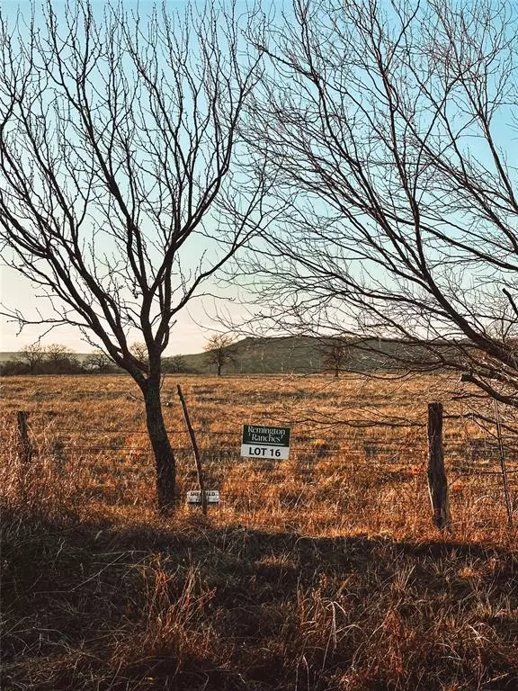 Santo, TX 76067,Lot 6 Dobbs Valley Road