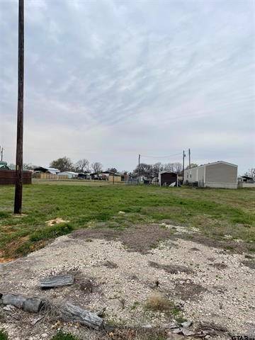 Quitman, TX 75783,TBD Lot 228 Wichita