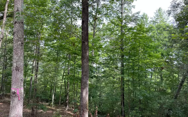 Blairsville, GA 30512,LOT13 Sour Apple Lane