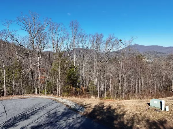 Hiawassee, GA 30546,2374 Haven Heights Road