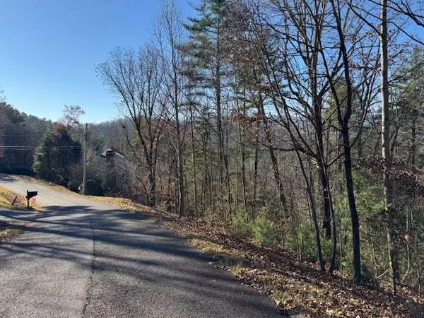 Blairsville, GA 30512,Lot 51 Sunny View Drive