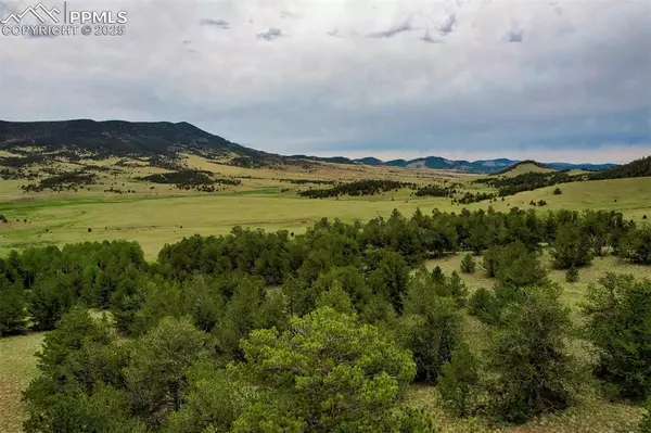 TBD Highway 9, Guffey, CO 80820