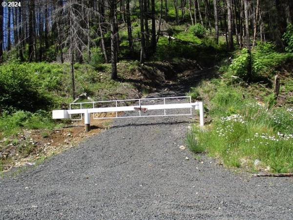 Gates, OR 97346,0 Hwy 22(BigCliffView)