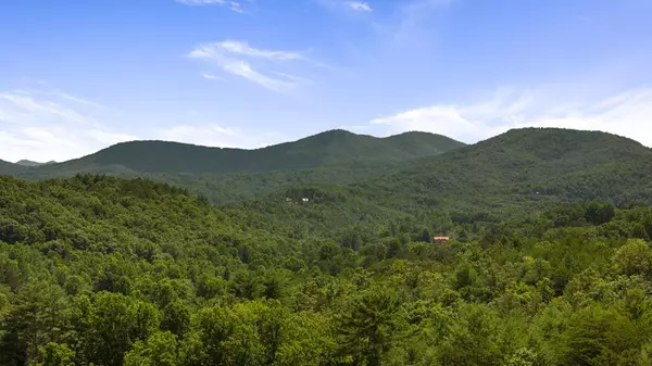 1AC Bruce Wike Lane, Brasstown, NC 28902