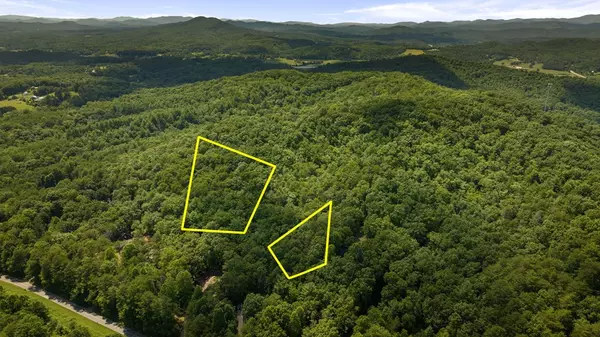 Brasstown, NC 28902,1AC Green Cove Road