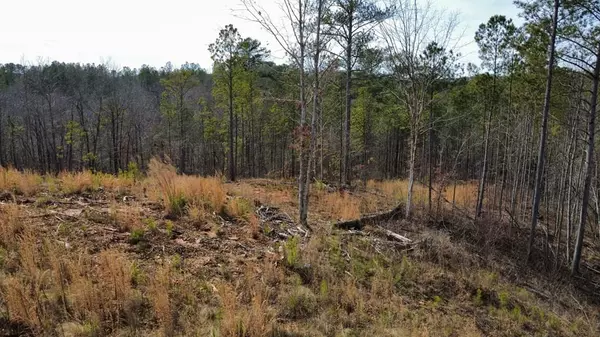 Lot 171 Shallow Water Way, Talking Rock, GA 30175