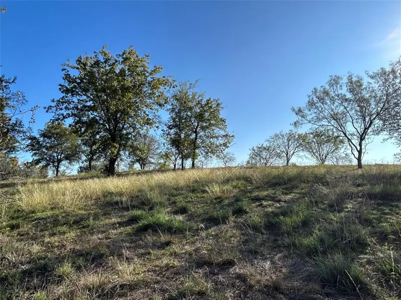 2015 Hidden Bluff Drive, Aledo, TX 76008