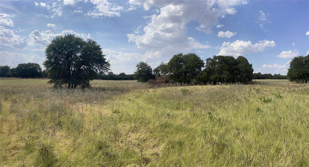 Lot 6 Blue Lacy Lane, Anson, TX 79501