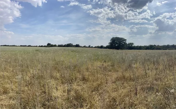 Anson, TX 79501,Lot 8 Blue Lacy Lane