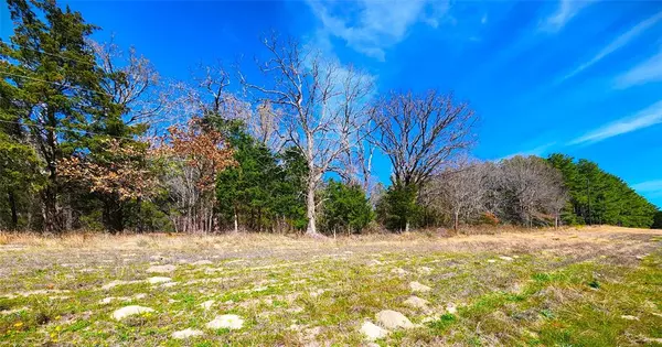 Larue, TX 75770,Lot 463 US-175