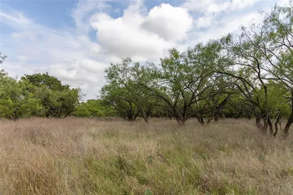 Cisco, TX 76437,TBD On Interstate Hwy 20