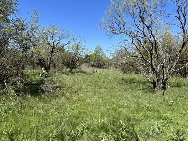 Cross Plains, TX 76443,TBD County Road 434