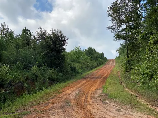 Tatum, TX 75691,TBD County Road 394