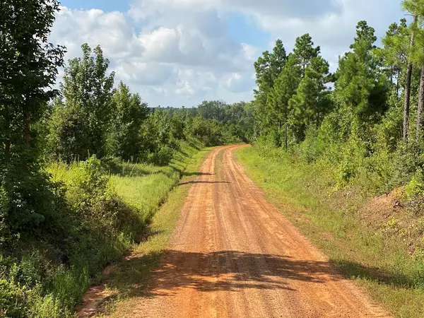 Tatum, TX 75691,TBD County Road 394