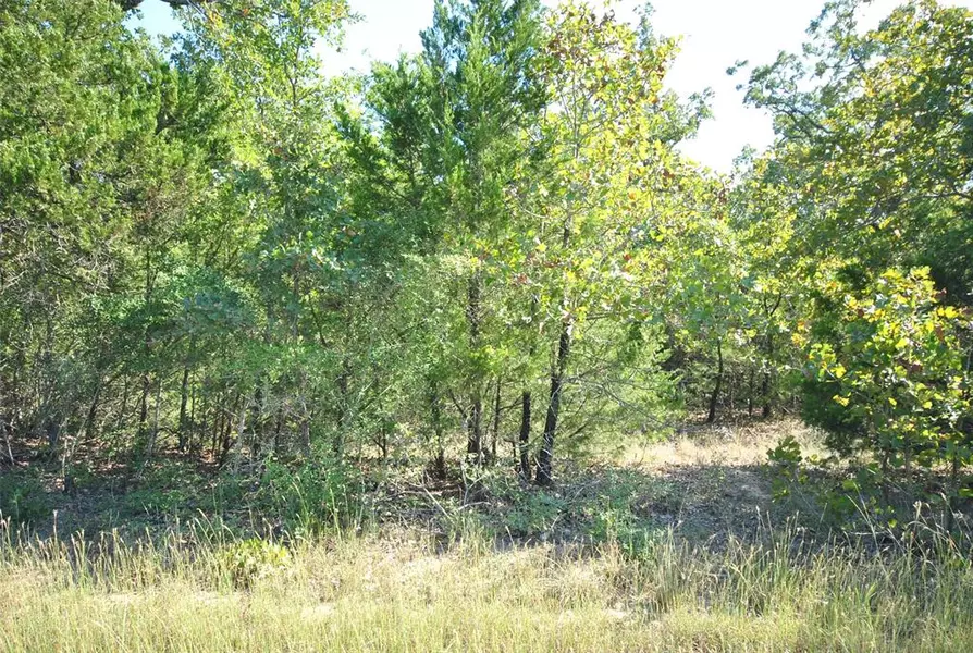 Lot 76 LCR 910 Drive, Jewett, TX 75846