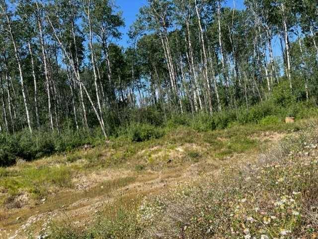 Conklin, AB T0P 1H1,146 Poplar Drive Rr